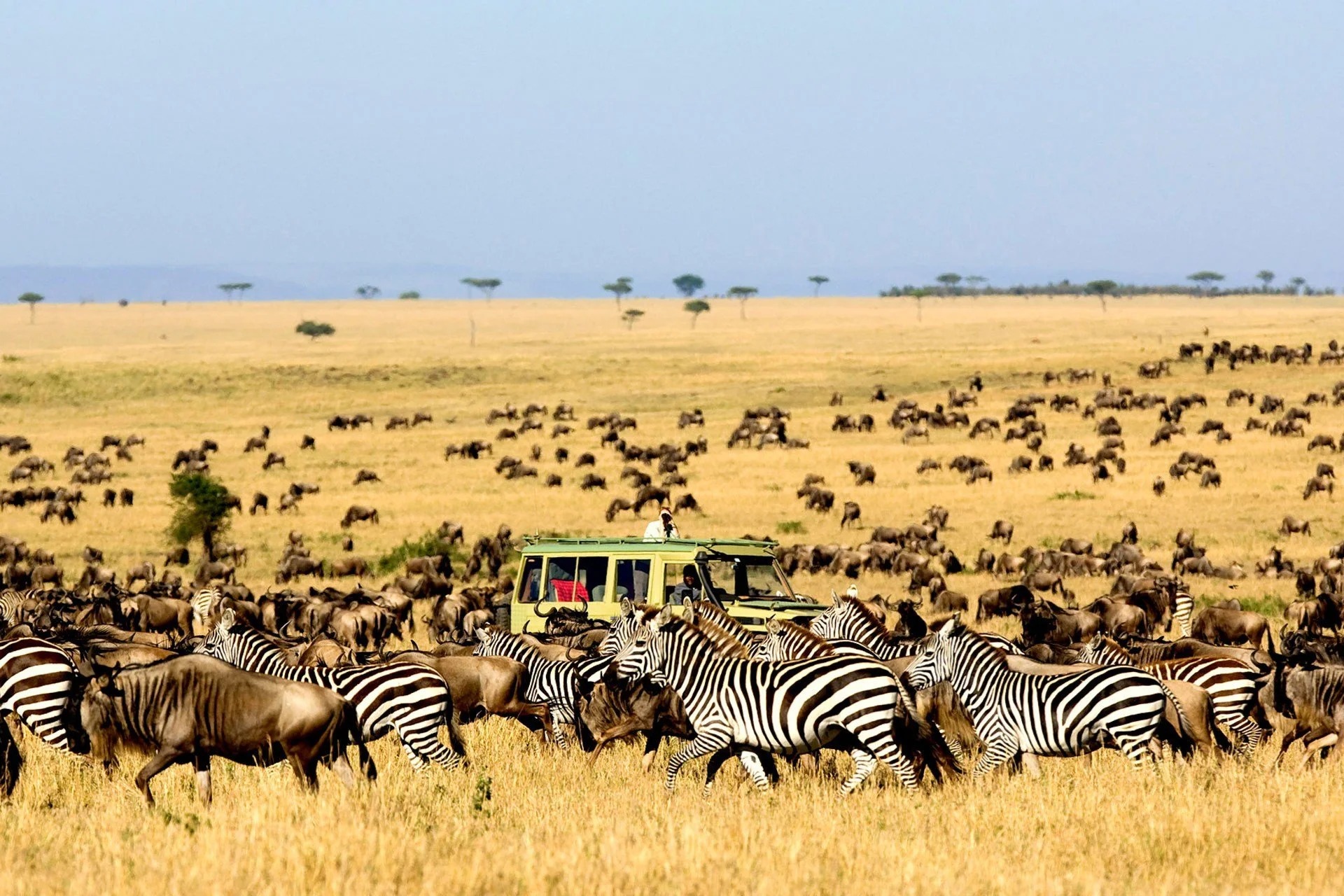 Kidepo Valley Expedition